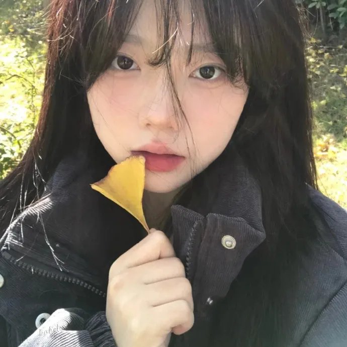 生命速写